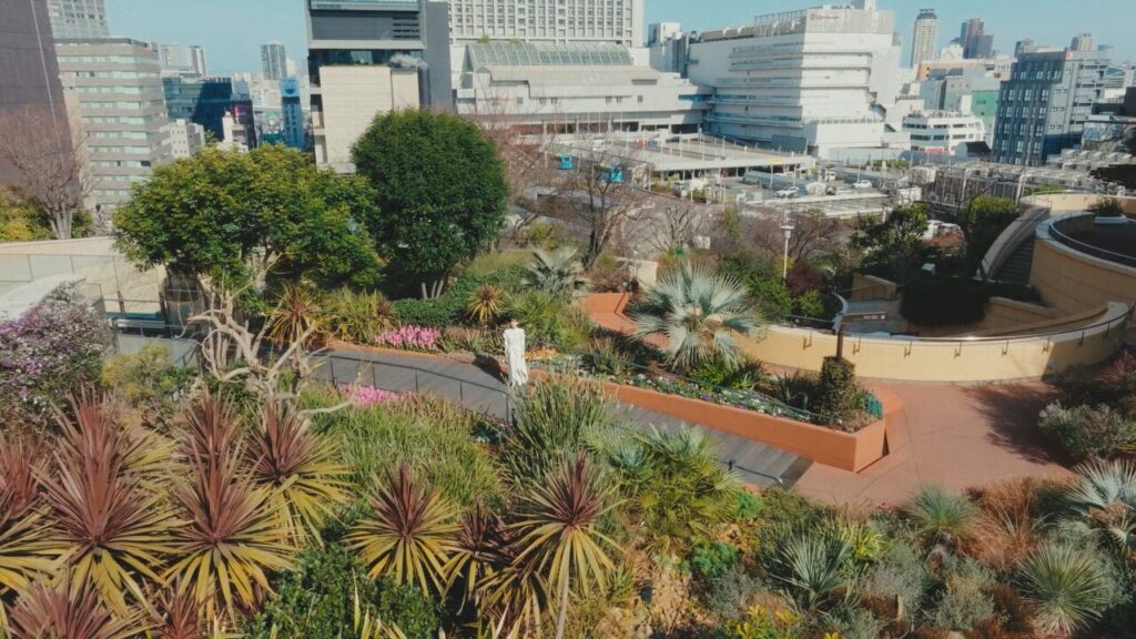 南海電鉄TVCM｜難波パークス